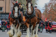 Remembrance-parade-2-1