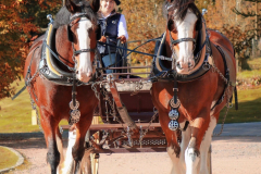 thistle-nd-esme-1st-crathes-2