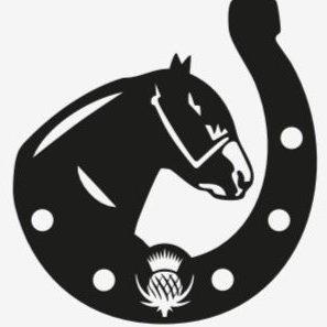 Lochside Clydesdales