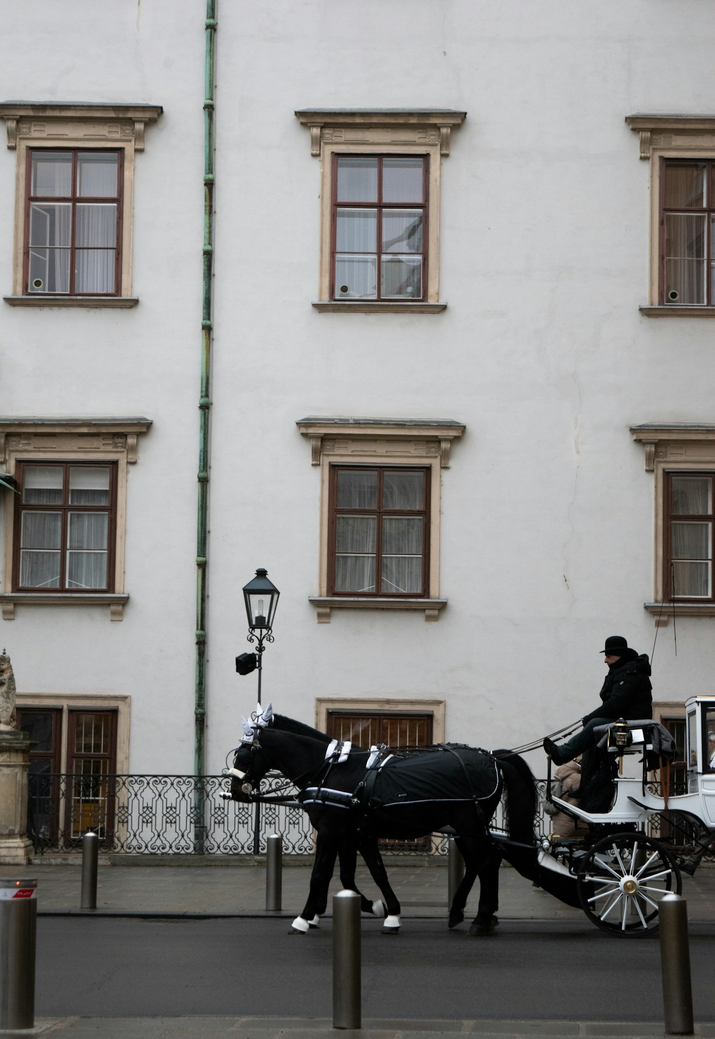 How Clydesdales Add Prestige to Every Carriage Ride